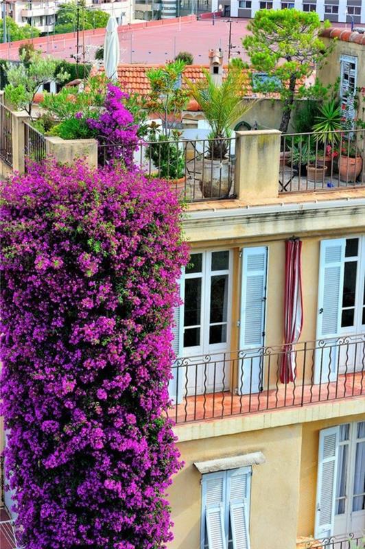 0-idee-deco-idee-deco-balcon-landšafto-balkonas-laipiojimo-gėlės-balkonui