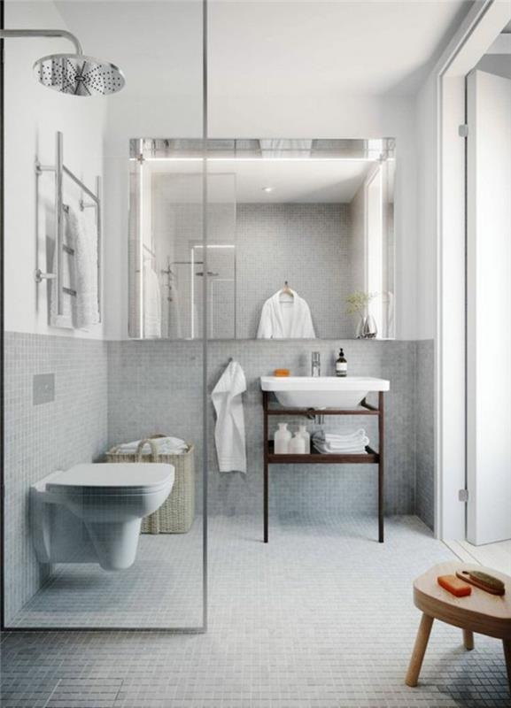 0-puikus vonios kambarys-šviesiai pilka-mozaikos-grindų-pilka-prabangus vonios kambarys