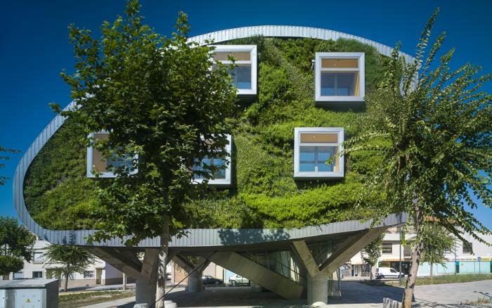 žalia siena ant futuristinio ovalo formos pastato fasado, vertikali kultūra, išorinė žalia siena aplink penkis kvadratinius langus