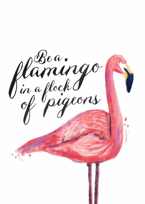 eksotična dekoracija z flamingom, motivacijsko sporočilo, spodbuda, Bodi flamingo v skupini golobov, flamingo dekoracija