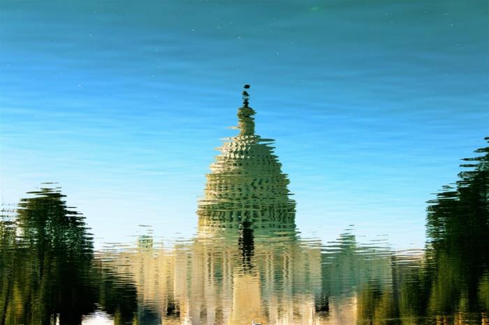 Baltieji rūmai, Vašingtonas su savo atvaizdu vandenyje, su medžių ir mėlyno dangaus vaizdais, paukštis, sėdintis ant Baltųjų rūmų stogo