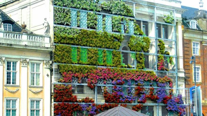 vertikalus auginimas dideliame gyvenamajame pastate, šliaužiantys augalai ant aliuminio metalinių rėmų, žali, violetiniai, geltoni ir raudoni augalai, augalinis sienų kilimas
