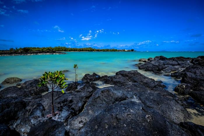 kraštovaizdžio fonas, rojaus salos, rojaus kraštovaizdis, Mauricijus, Ramusis vandenynas, skaidrūs mėlyni vandenys, mėlynas dangus