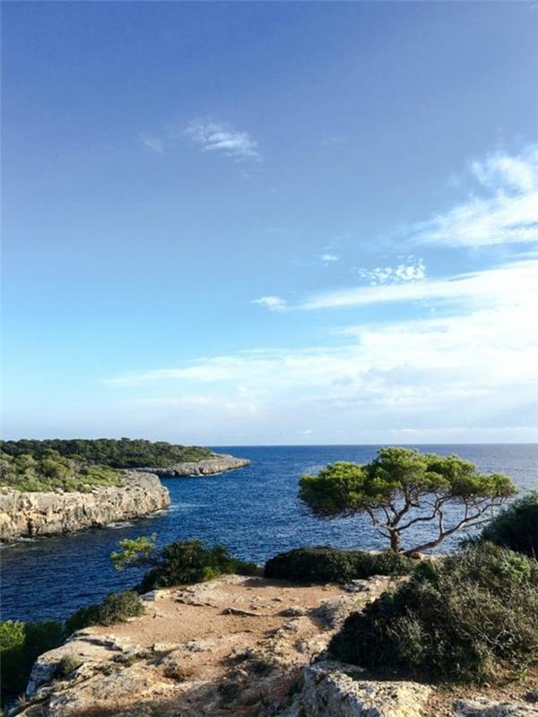 1-cala-pi-mallorca-palma-de-majorca'daki en güzel deniz manzaralı