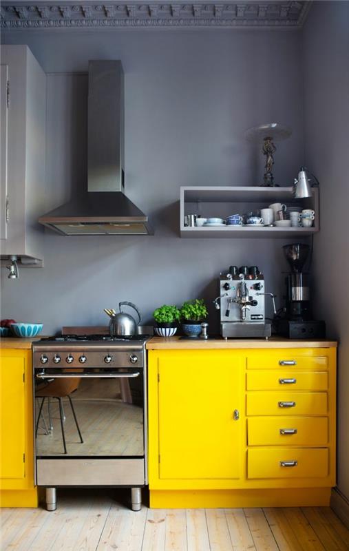 1-pilka-geltona-virtuvė-pilka siena-geltona-mediniai-baldai-virtuvė-cdiscount-idea-color-kitchen