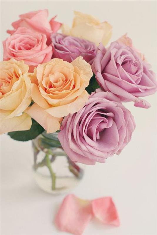 1-velik-šopek-cvetja-ogromen-šopek-vrtnic-veličasten-šopek-pisanih-rož