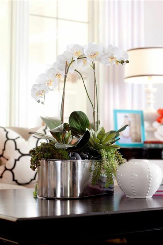1-lepa-dekoracija-z-belo-orhidejo-za-moderno-luksuzno-dnevno sobo