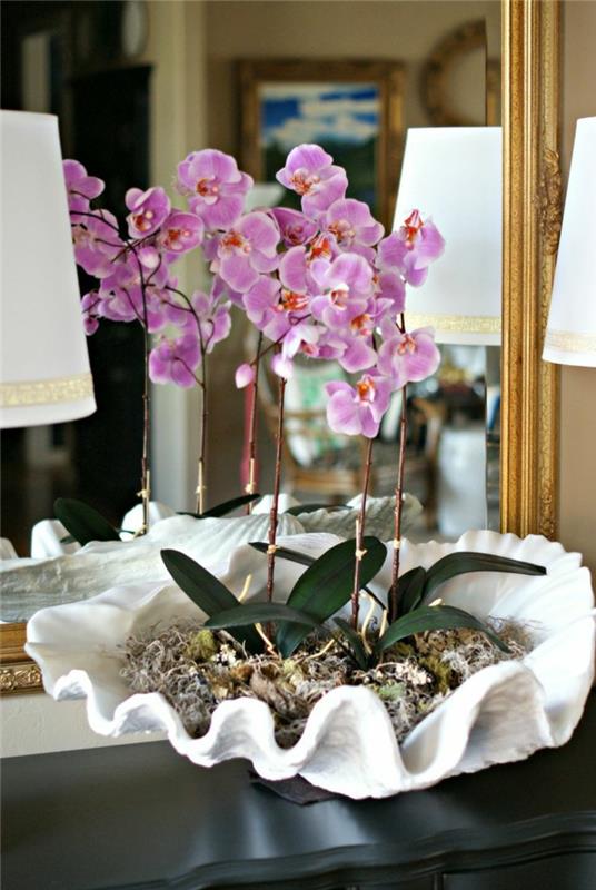 1-lepa-dekoracija-z-vijoličnimi-orhidejami-za-okrasitev-notranjosti-doma