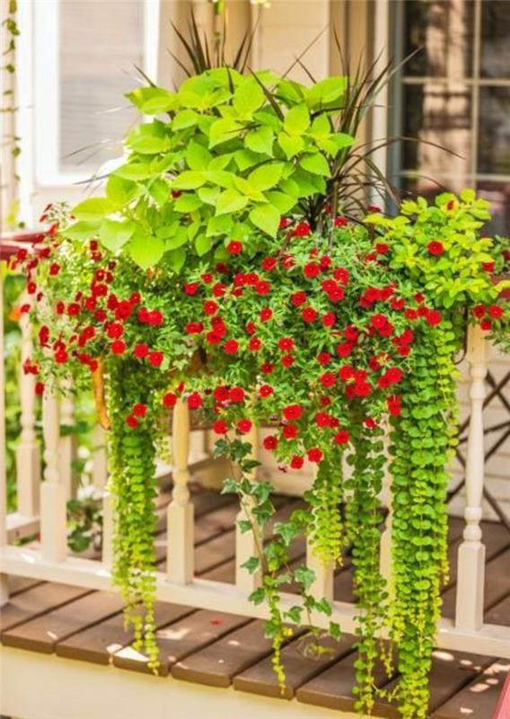 1-graži-idėja-deco-balkonas-kraštovaizdis-gėlių-balkonas-su-žalia-augalai-gėlės