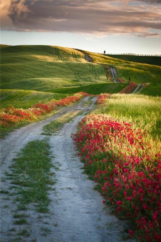 1-the-fields-of-toskana-bivanje-v-toskani-obisk-toskana-lepa-pokrajina