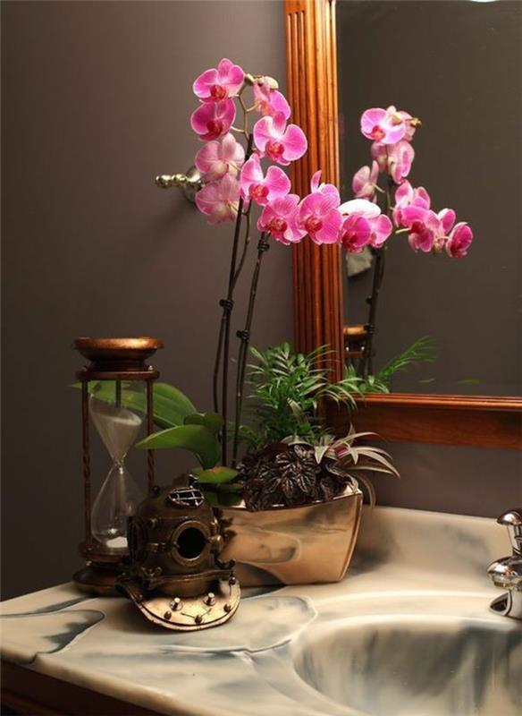 1-orhideje-kako-razcvetiti-notranjo-orhidejo-ustvariti-moderno-vzdušje-v-zen-kopalnici