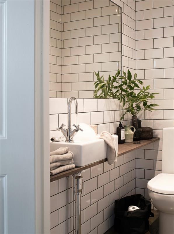 1-retro-kopalnica-objekt-bela-ploščice-bela-ploščice-stena-zelena-rastlina-klasični-umivalnik