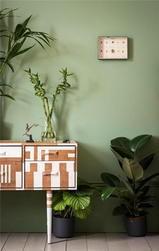 1-zelene-rastline-majhna-dvorana-pohištvo-tla-bež-tla-zelene-stene-leseno-pohištvo