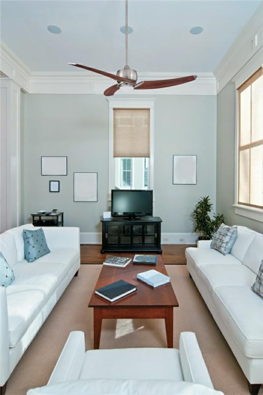 1-udobna-dnevna soba-strop-ventilator-modre-stene-tv-zelena-rastlina-lesena-mizica