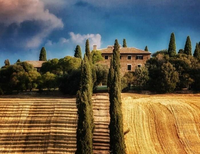 1-bivanje v Toskani-obisk-Toskana-pšenična polja-najlepša polja