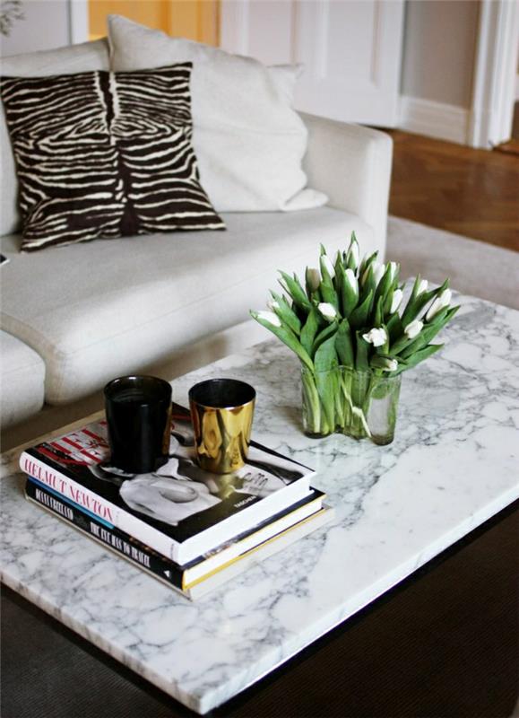 1-dnevna soba-miza-iz-marmorja-rože-na-mizi-pisane-blazine-modeli-natisnjeni-kavč