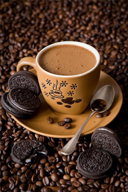 1-kahve-fincan-bodum-la-baute-de-la-kupa-kahve-nespresso-açık kahverengi