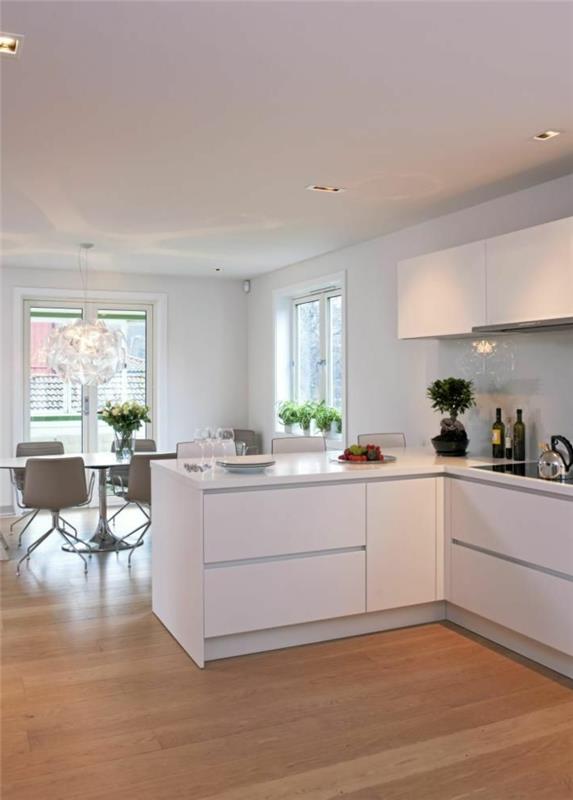 1-lakuota virtuvė-šiuolaikiniame name-balta-virtuvė-šviesios parketo grindys