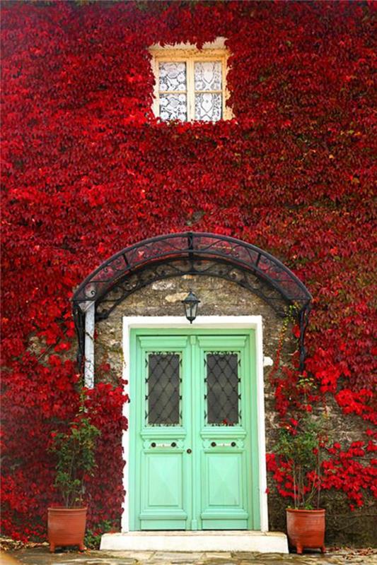 1-a-pretty-house-with-red-ivy-plezanje-rastlina-senca-vhodna-vrata-v-lesu-zeleno-modra