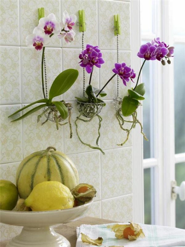 1-a-pretty-decoration-with-flowers-to-bloom-a-purple-orchid
