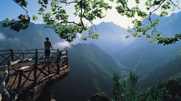 ziyaret-portekiz-tatil-in-madeira-yeşil-ada-doğa-harika-yeniden boyutlandırılmış