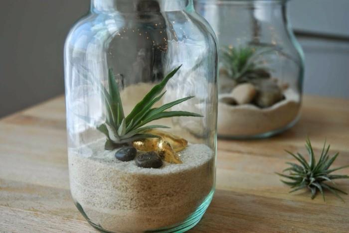 1 ką daryti su stikliniais jogurto vazonėliais-terariumu-smėlio-akmenukų augalais