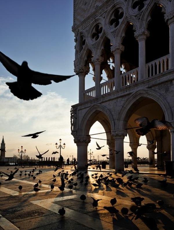 3-bir-yer-kuş-romantik-şehir-Belle-Venise