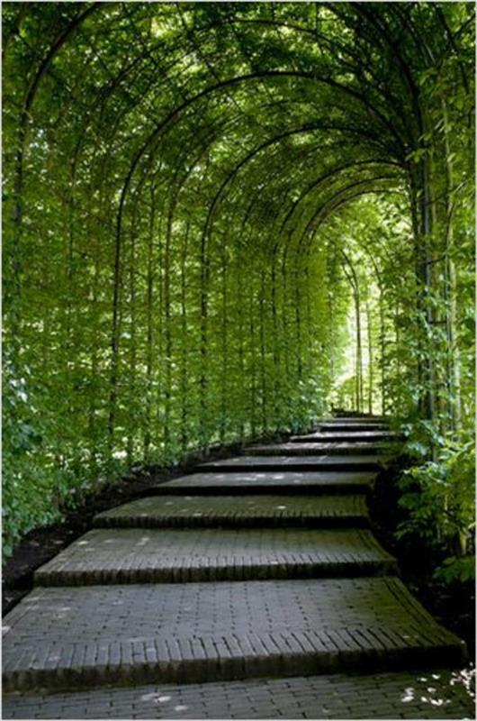 37-idea-deco-couiloir-a-tunnel of-greenery