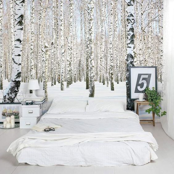 Yatak odasında huş ağacı korusu