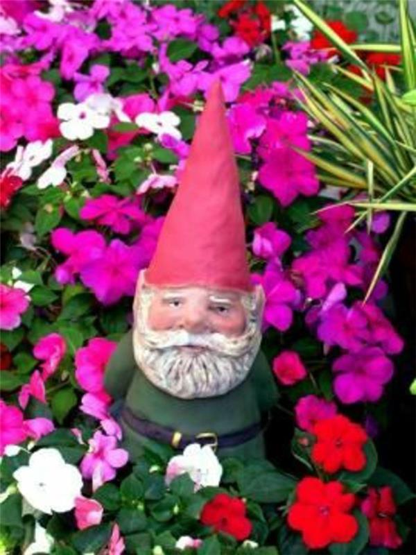 57-Poceni vrtni gnome, obdan s cvetjem