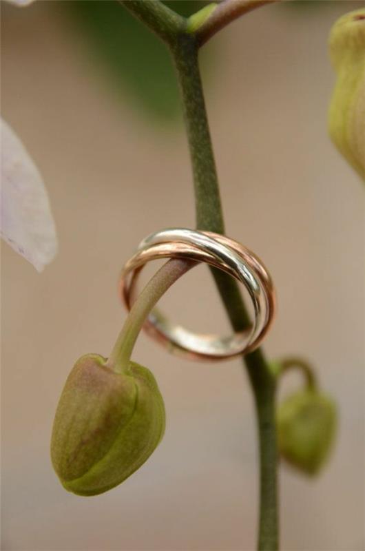 6 vestuvinis žiedas su trimis žiedais-augalas
