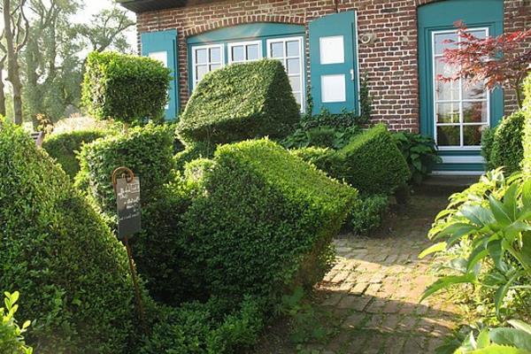 779803-les-droles-de-buis-de-la-chambre-d-hiver-yeniden boyutlandırılmış