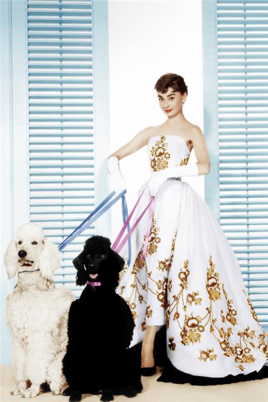 Audrey Hepburn bir prenses elbisesi içinde kısa ön uzun arka, iki beyaz ve siyah kaniş köpeği, altın detaylı elbise, uzun beyaz eldivenler