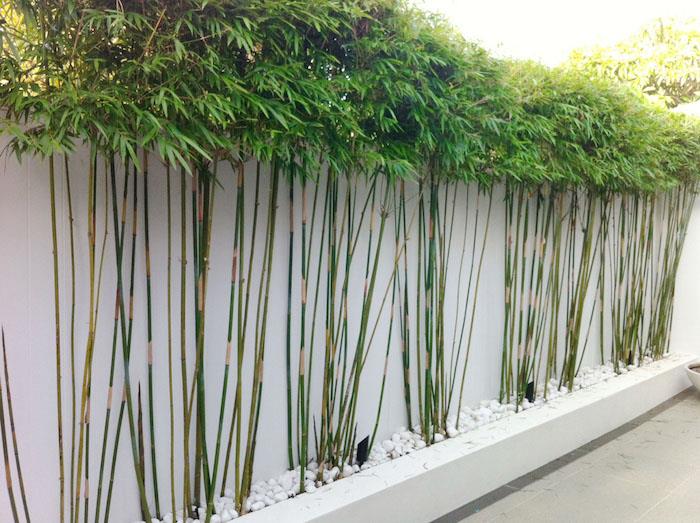 odrezana bambusova stebla kot zatemnitev za dekoracijo vrta, primer naravnega vetriča