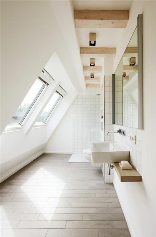 Čerpės-stiklas-langas-stogas-rėmas-vonios kambarys-šviesus