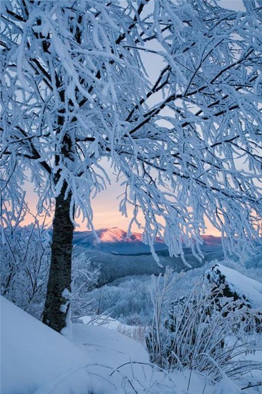 Serin-duvar kağıdı-kış-Noel-manzaraları-parlayan-a-kaymış-ağaç