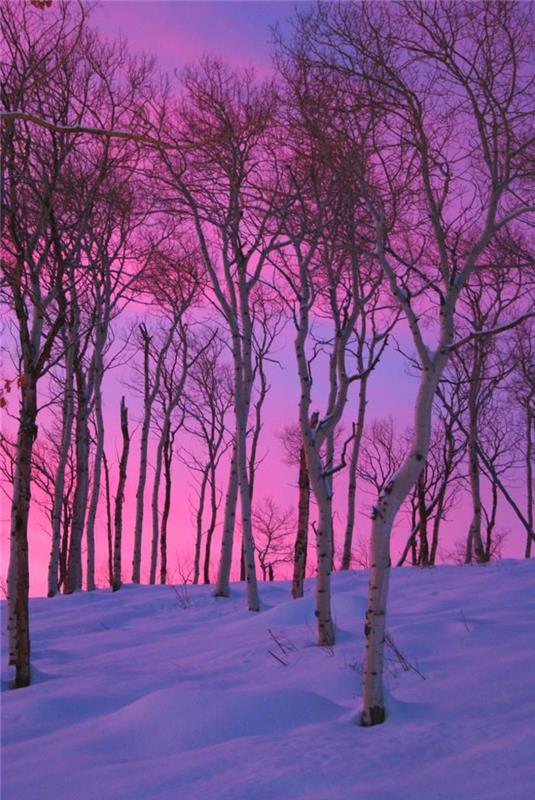 Parlak-duvar kağıdı-kış-dağ-fotoğraf-ücretsiz-kış-ağaçlar-resim