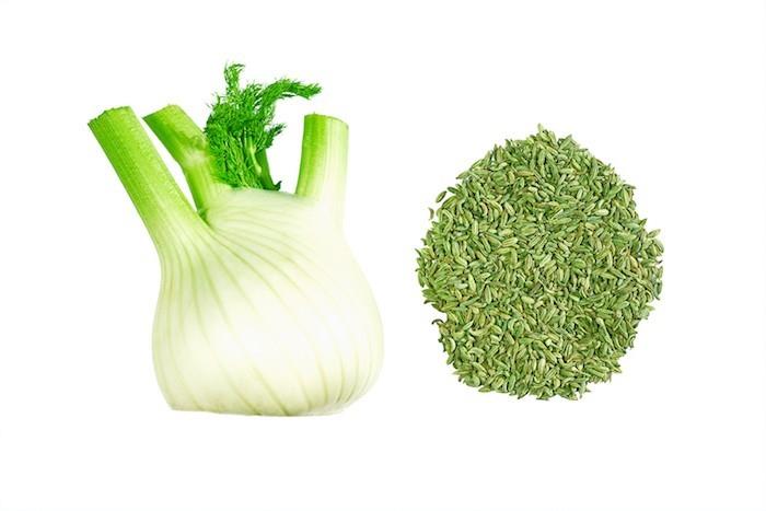 Foeniculum vulgare pankolio sėklos gydo augalus žarnyne kūdikio mama