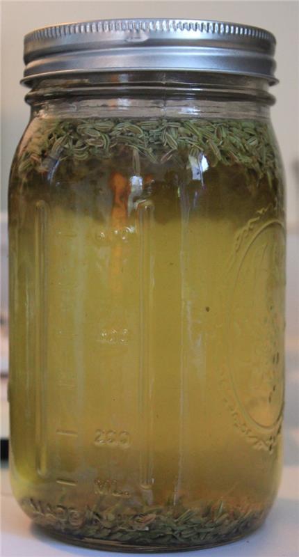 foeniculum-vulgare-pankolio sėklų sirupas-nuo kosulio-augalų vaistas