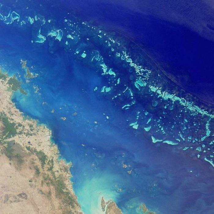 GreatBarrierReef-ölmeden önce-listesi