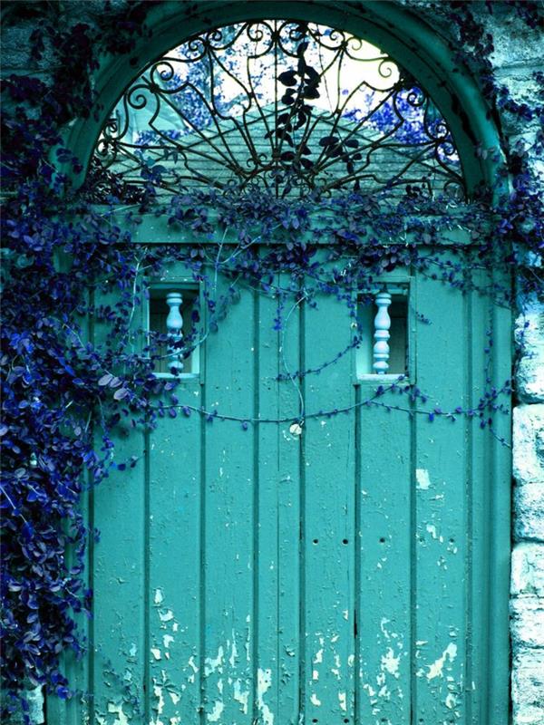 Įėjimas nuo durų iki įėjimo į akvamarino spalvos augalą