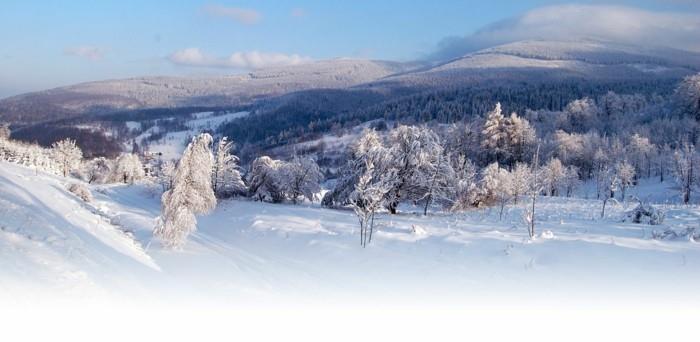 Stay-lenkija-slidinėjimas-slidinėjimas-snieglenčių sportas-pavasaris-nėra brangus