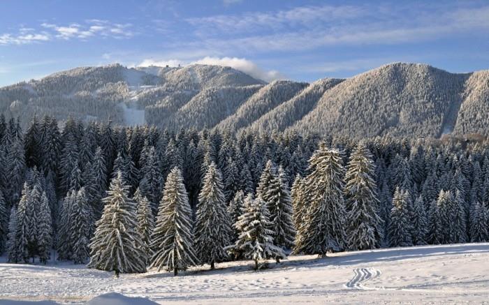 Slidinėjimo kurortas-Rumunija-6-ski-stay-snieglenčių atostogos-šaltiniai-pigiai