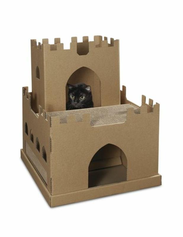 kačių prieglauda, ​​sudaryta iš dviejų kartoninių dėžių, juoda katė