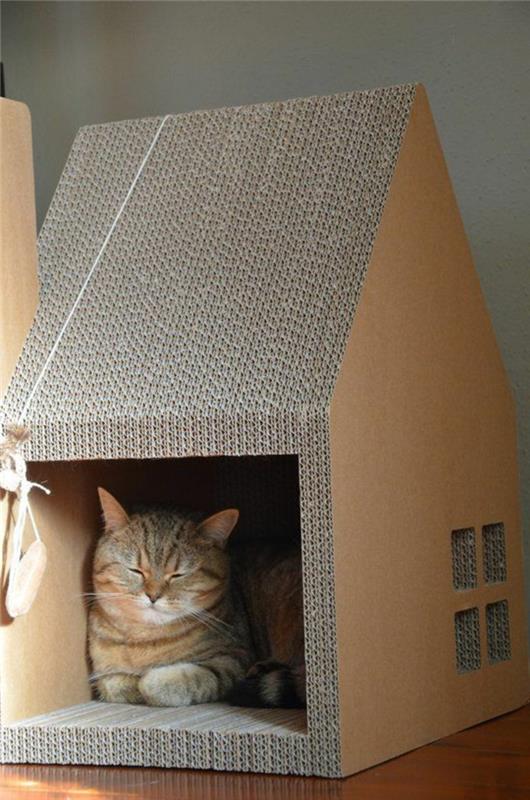 kačių namelis, katė miega savo veislyno kačių namuose