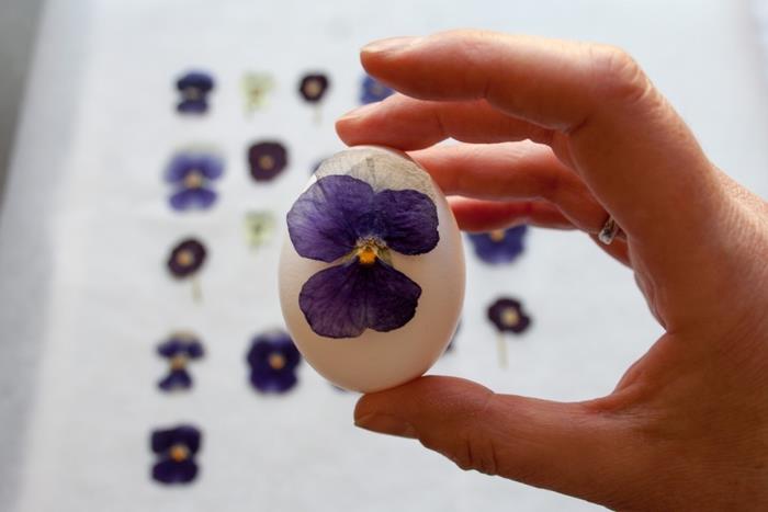 spomladanska ročna dejavnost na temo okrasitve velikonočnih jajc s prešanimi cvetovi