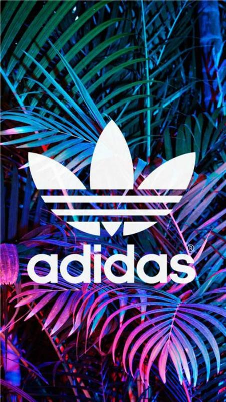 büyük adidas logosu, havalı iphone duvar kağıtları, pembe ve yeşil palmiye yaprakları arka plan