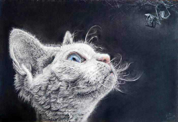 Karakalem karakalem çizimleri Kömür hayvanı, siyah beyaz çizim, çoğaltılması zor, beyaz kömürle sevimli kedi çizimi, mavi gözlü sevimli kedi yavrusu