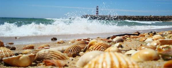 algarve-deniz feneri-rafları-deniz-okyanus-kum