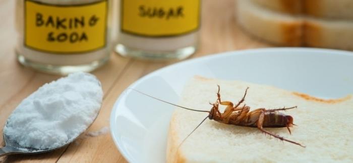 živilski izdelki soda bikarbona mešanica sladkorja v prahu naravni izdelek proti ščurkom
